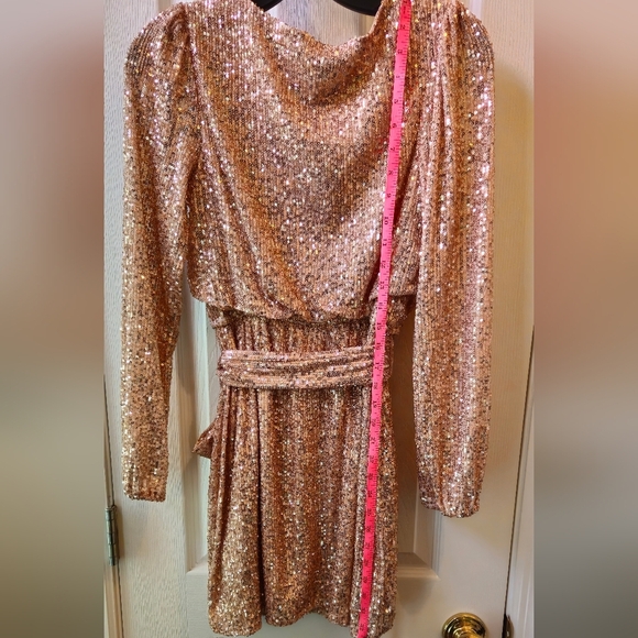Crystal Sky Champagne Color Sequins Mini Dress - Size XS - Picture 4 of 8